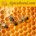 Apicultor